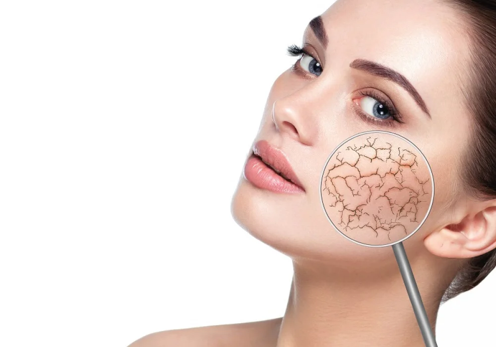 فیزیولوژی پوست